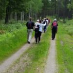 Vandring på Pilgrimsled Hjo-Kungslena