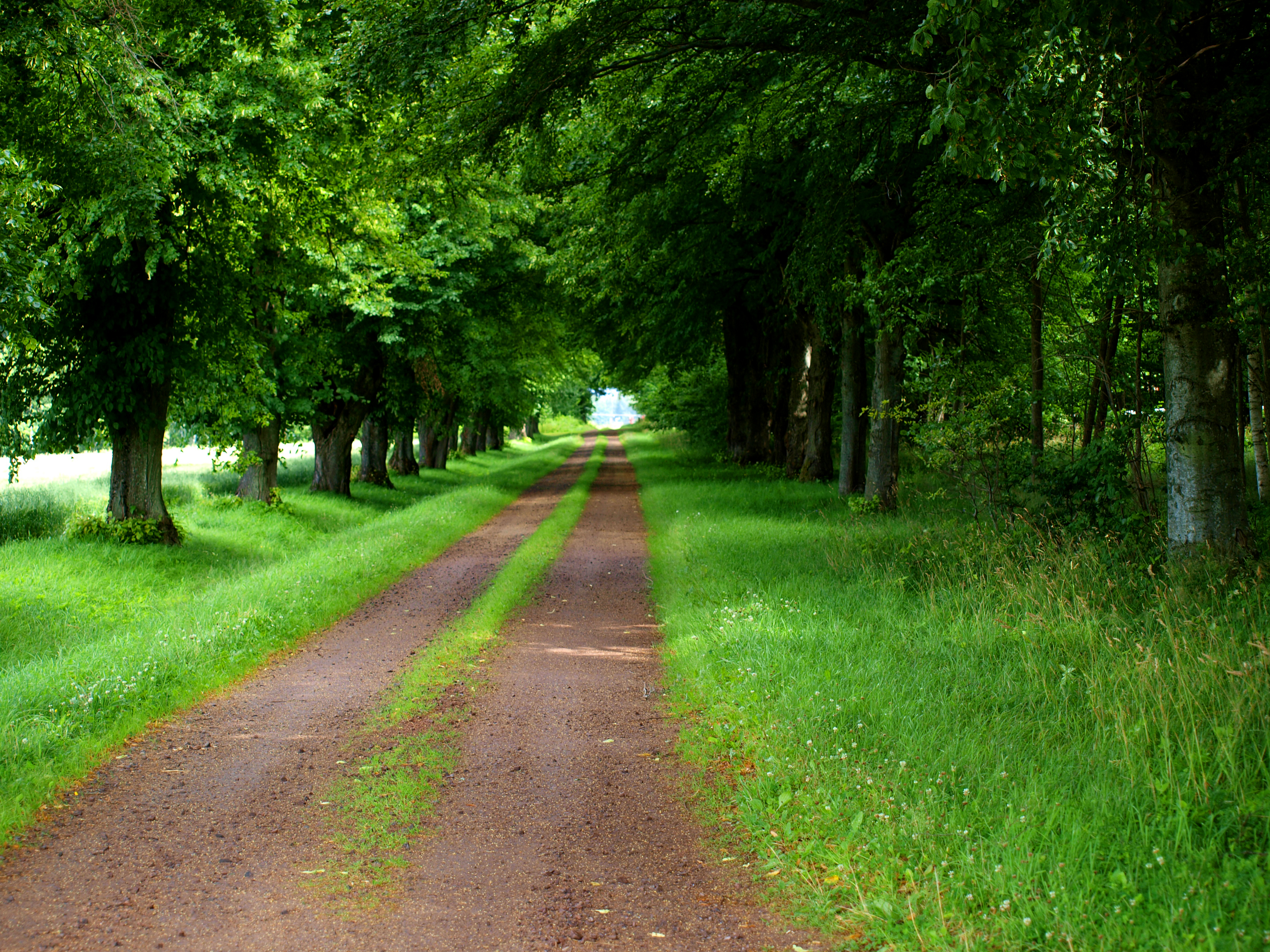 Pilgrimsled Hjo-Kungslena vid Kavlås Tidaholm