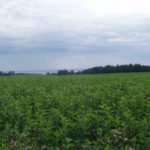 Utsikt över Vättern